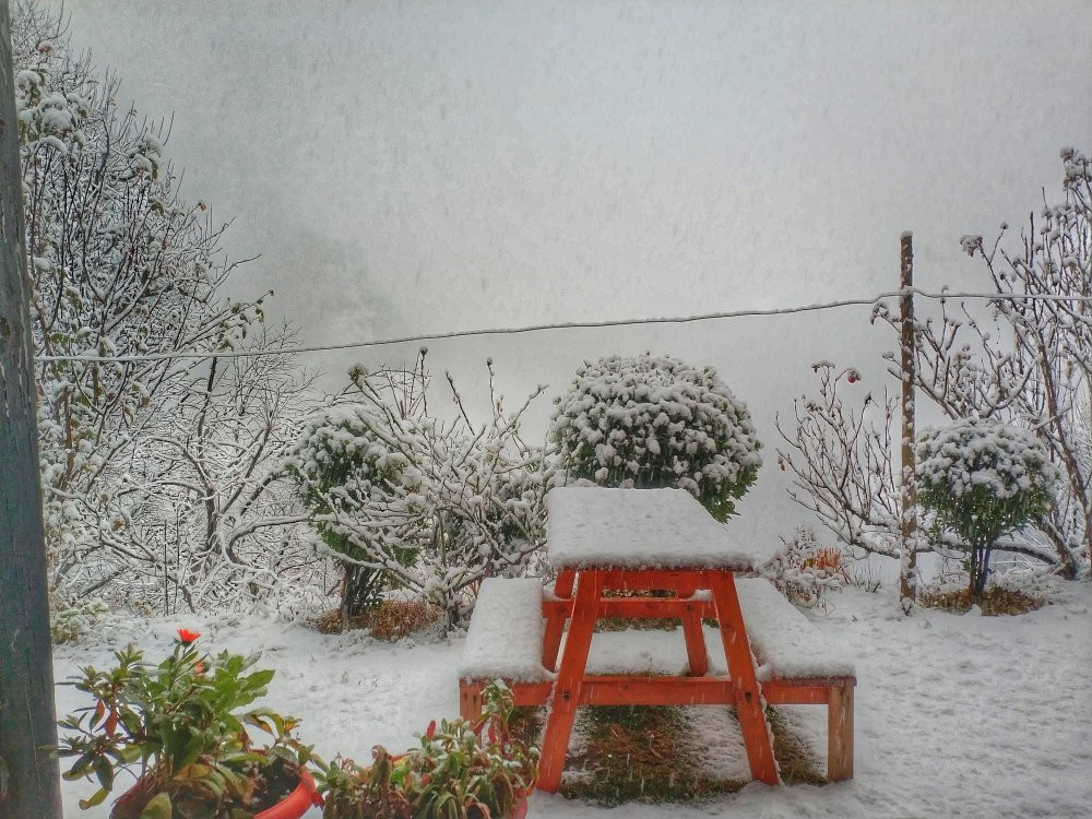 Zostel Homes Laida主图