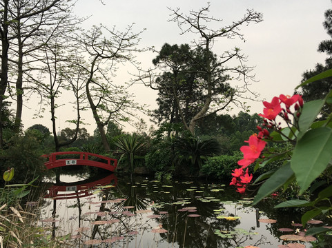 莲花山古采石场-广州市必去景点
