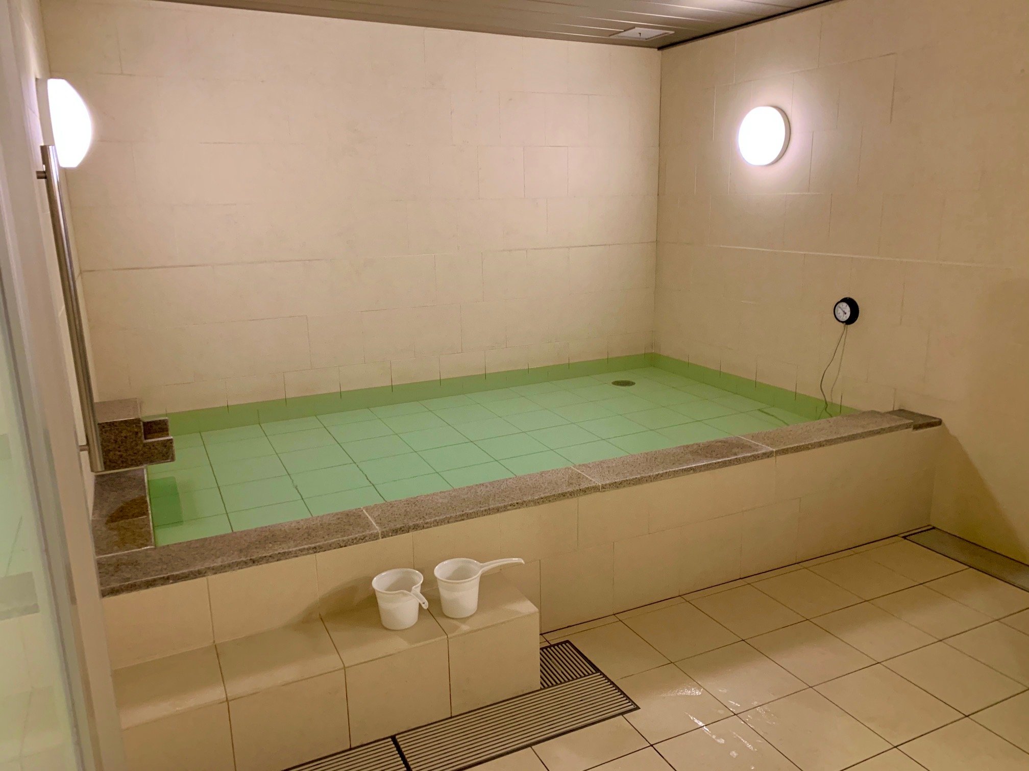 赤坂弗斯特胶囊公寓-泳池