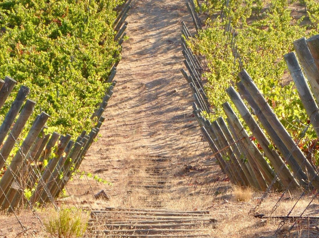 Polkura Syrah, Colchagua-Marchihue必去景点