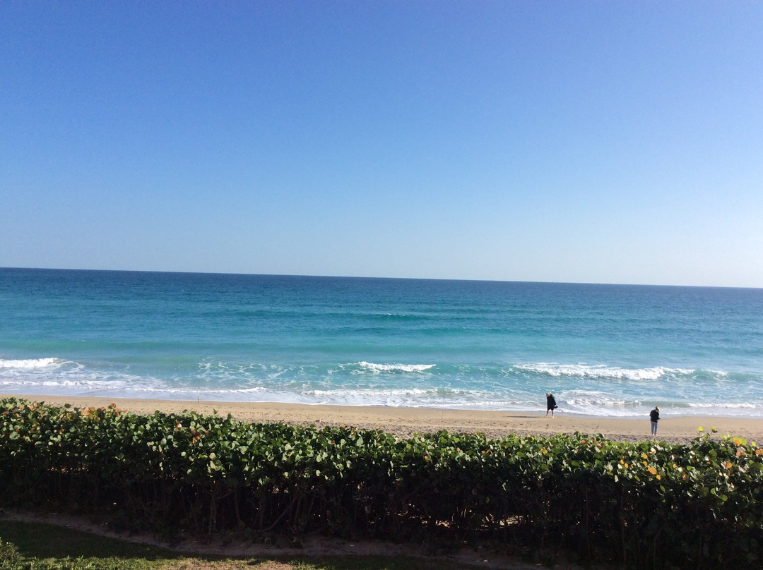 Vistana Beach Club主图