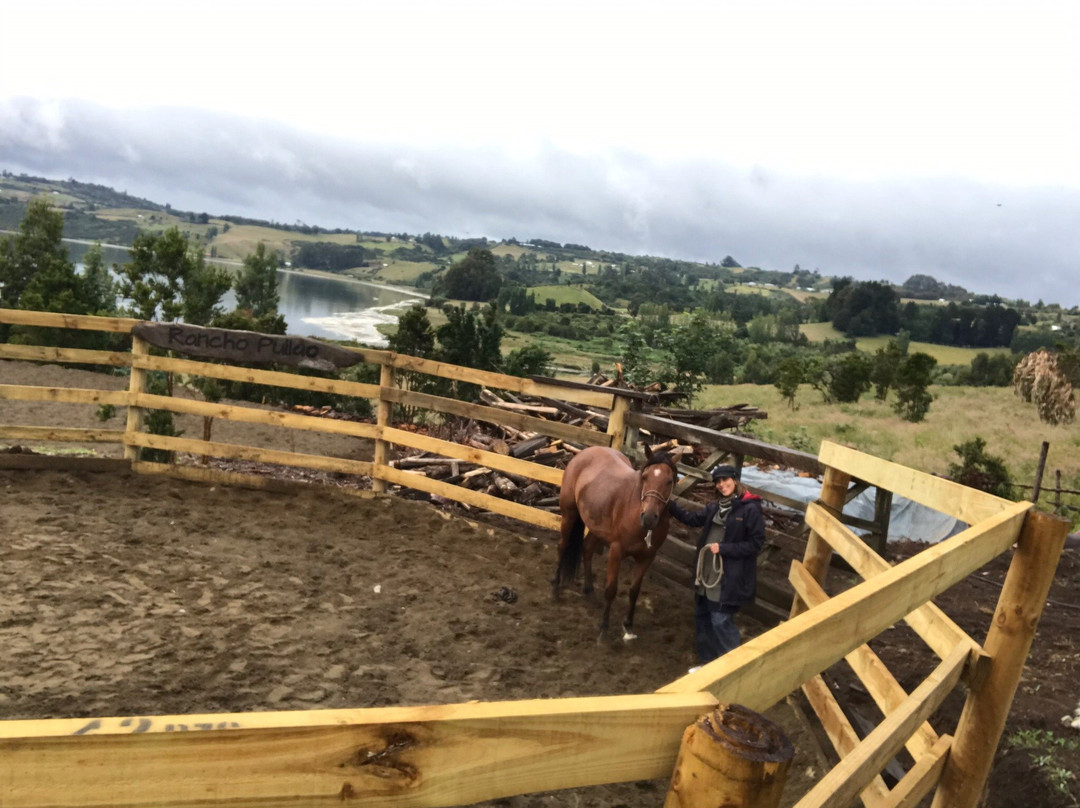 Rancho Pullao-Castro必去景点