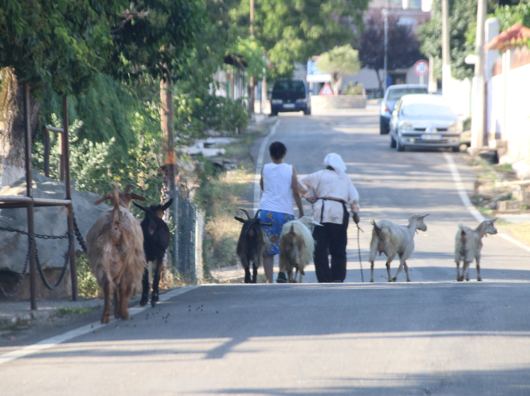 Antigonea Archaeological Park-吉诺卡斯特必去景点