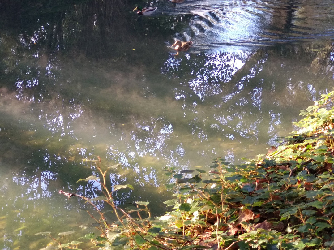 Jardin Botanico Atlantico-希洪必去景点