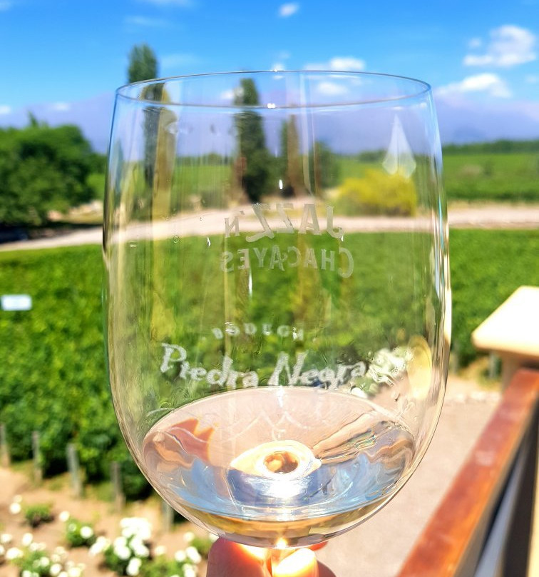 Bodega Piedra Negra-Vista Flores必去景点