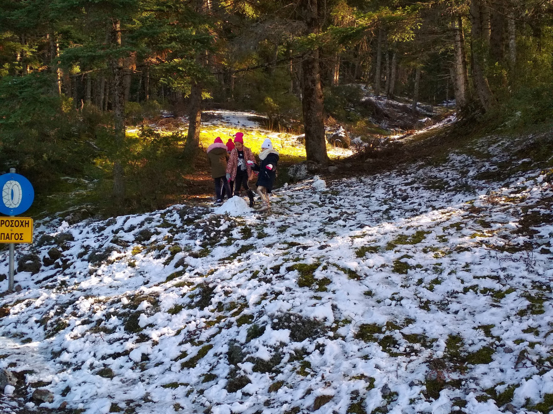 Mainalo Ski Center-Mainalo必去景点