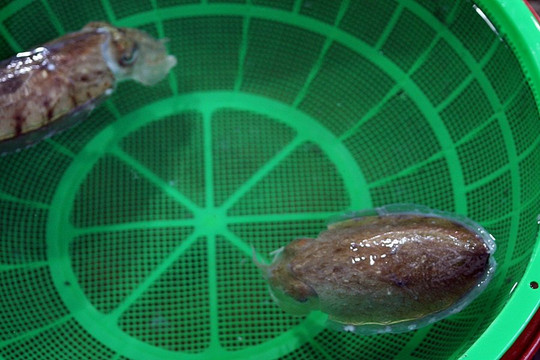 Suhyup Susanmul Center-高兴郡必去景点