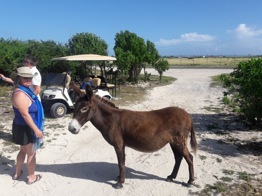 Columbus Landfall National Park-Grand Turk必去景点