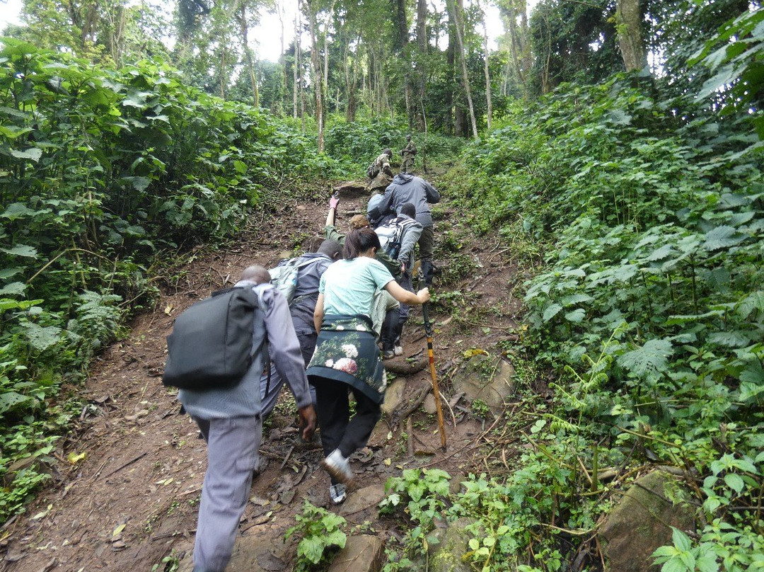 Wild Frontiers Uganda Safaris-恩德培必去景点