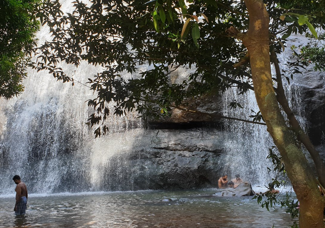 Aanachadikuth Waterfalls景点图片