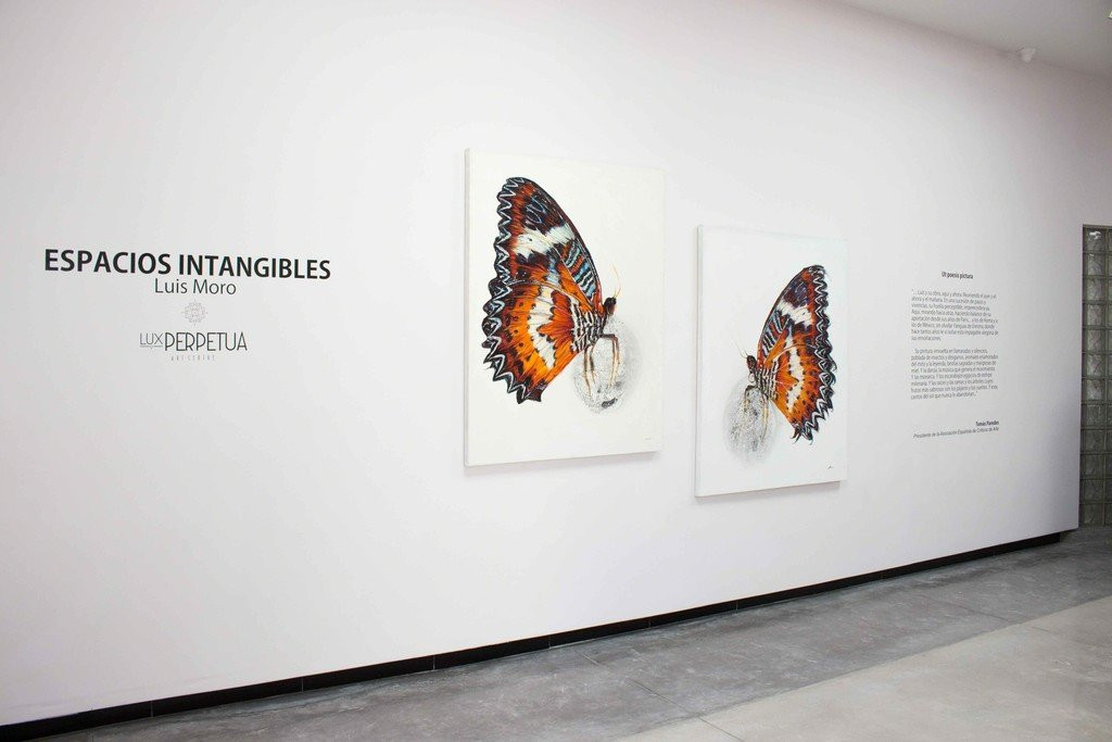 Lux Perpetua Art Centre-梅里达必去景点