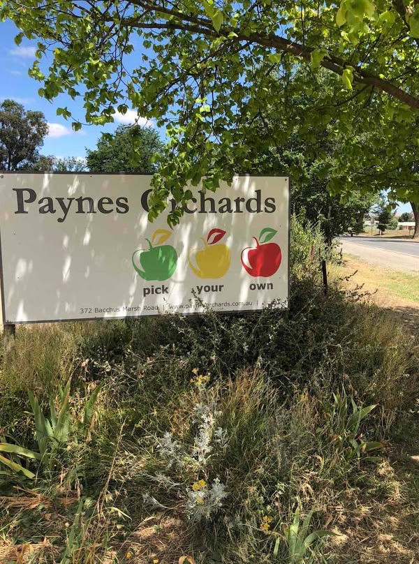 Payne's Orchards景点图片