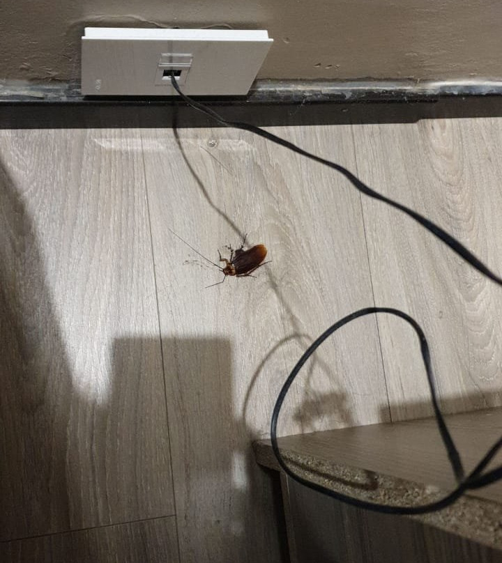 Regal Inn Umhlanga主图