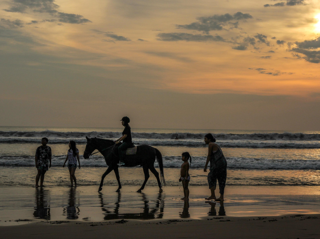 BATTUTA HOLIDAYS-雅加达必去景点