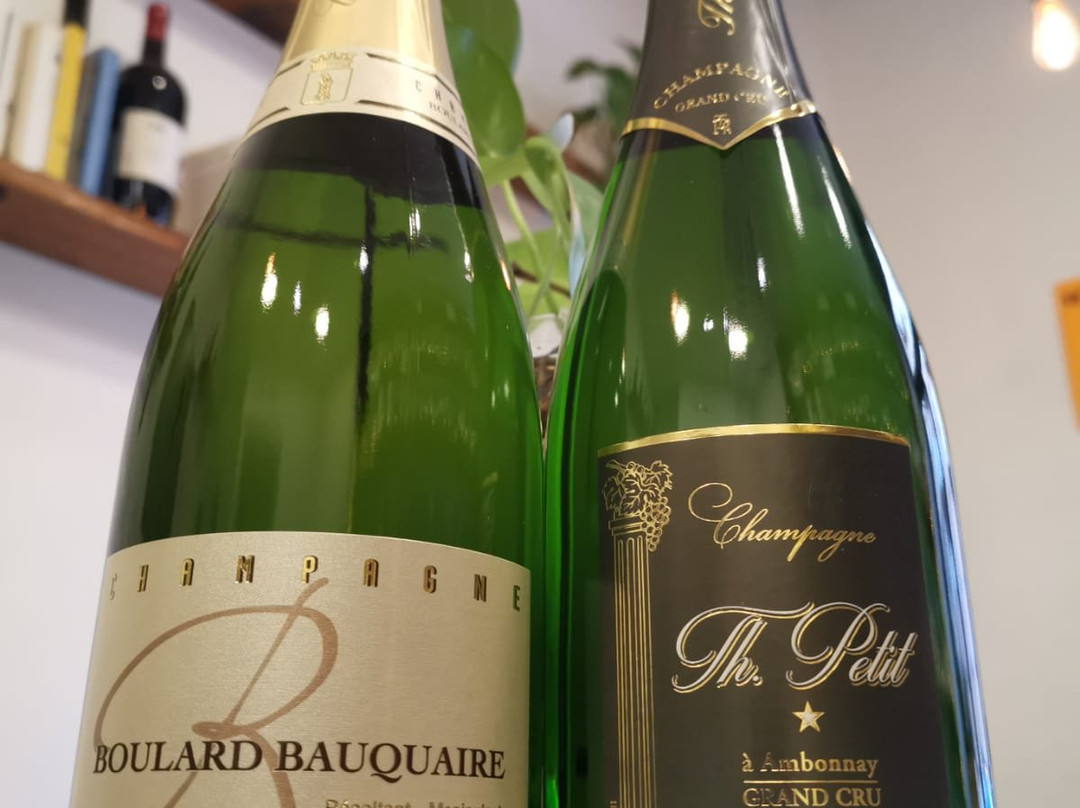 Simposio Biblio-Enoteca Naturale-都灵必去景点