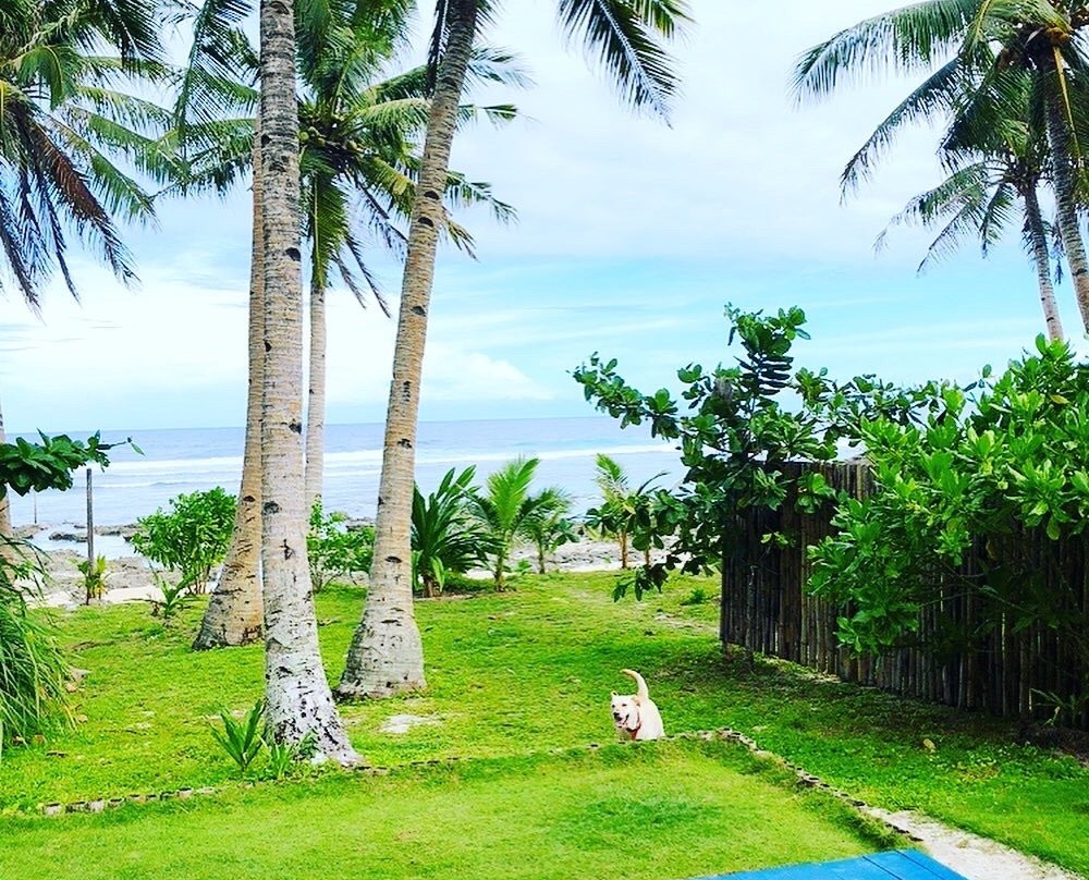 ASIA PACIFIC TOUR-Catangnan必去景点