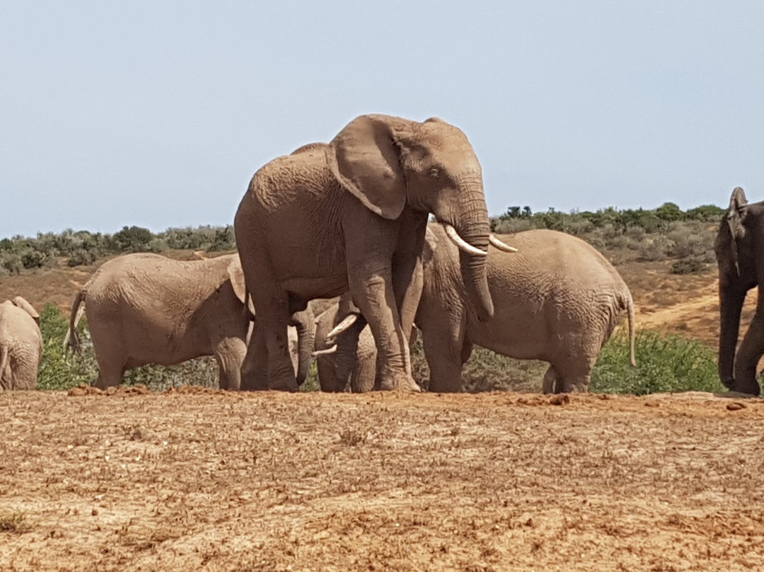 Tip of Africa Information Centre-Struisbaai必去景点