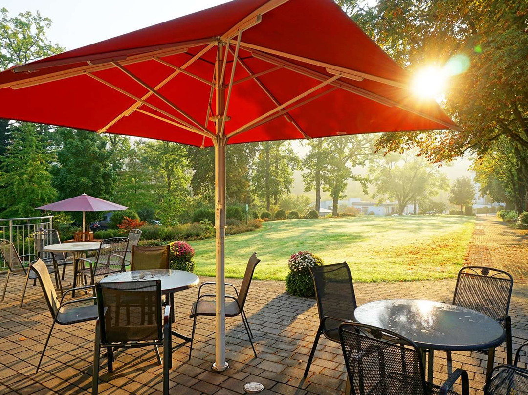 Dorint Parkhotel Siegen主图