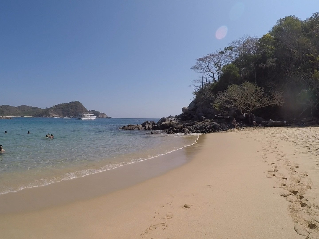 Seven Bay Snorkel Cruise-瓦图尔科必去景点