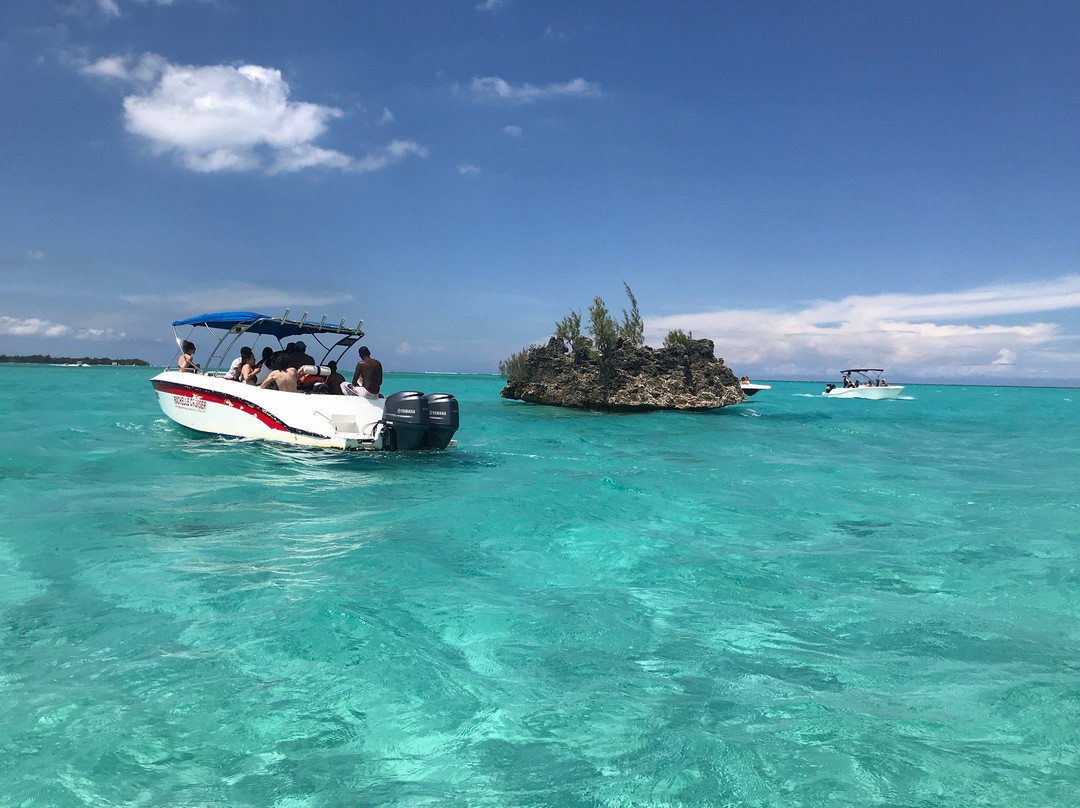 La Pirogue - Swim with the Dolphins-弗力克昂弗雷克必去景点