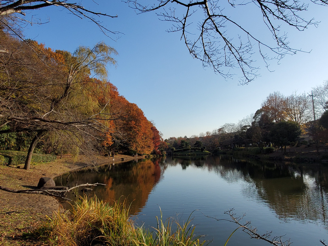 Junsai Pond Area景点图片