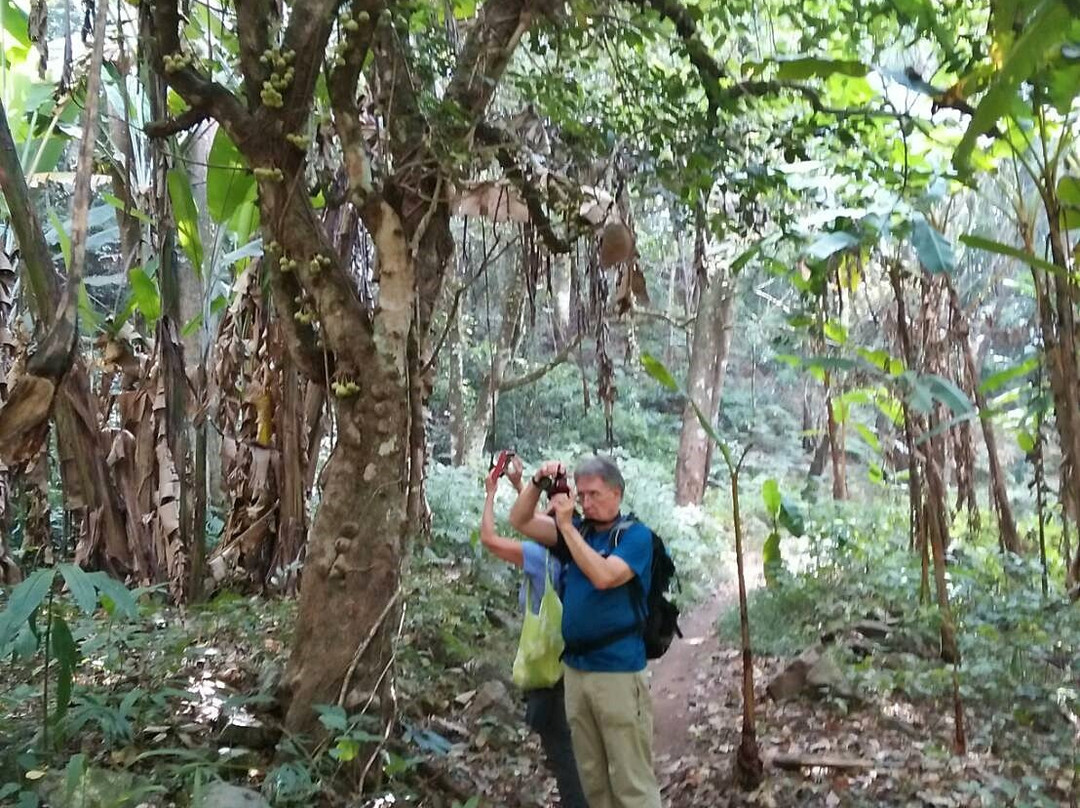 Doi Pui Mong Hill Tribe Village-清迈必去景点