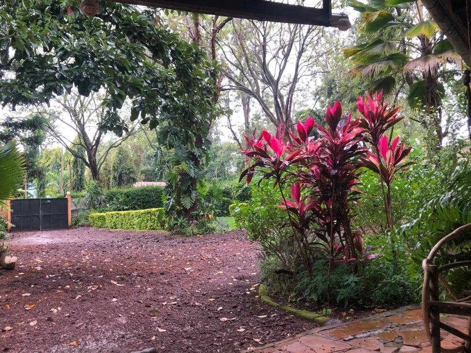 Tembotamu Tanzania B&B, Safaris and Treks主图