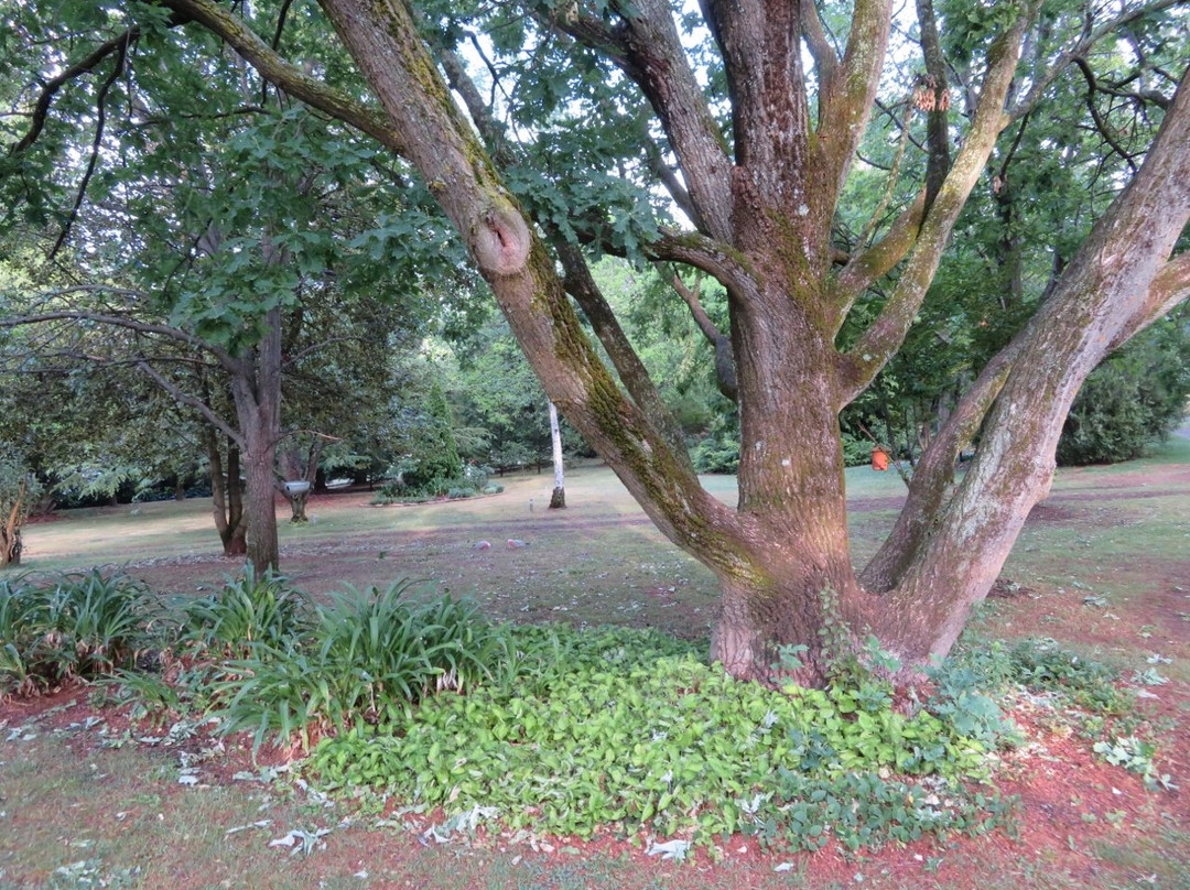 Clifton Gardens Bed & Breakfast主图