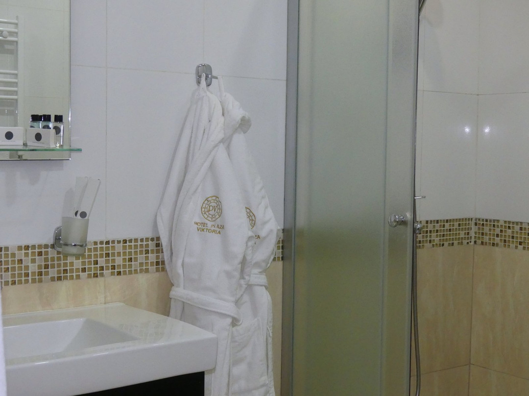 Hotel Plaza Viktoria主图