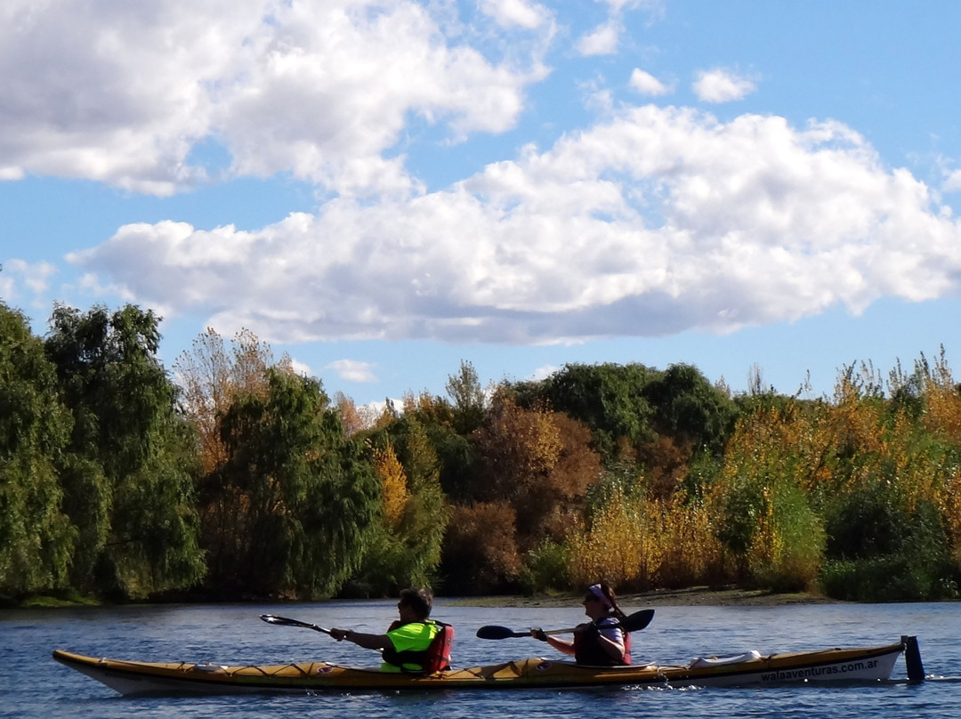 Wala Aventuras-Allen必去景点