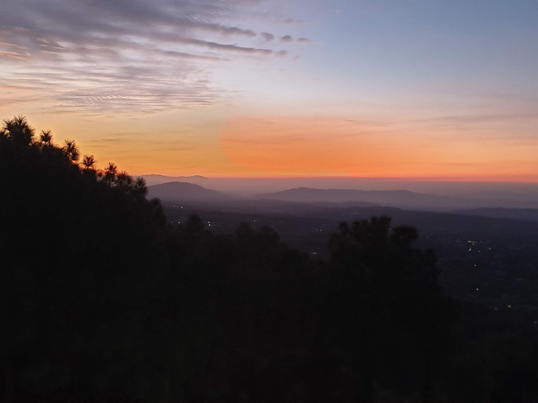 Regenta Resort, Exotica Dharamshala on Hilltop主图