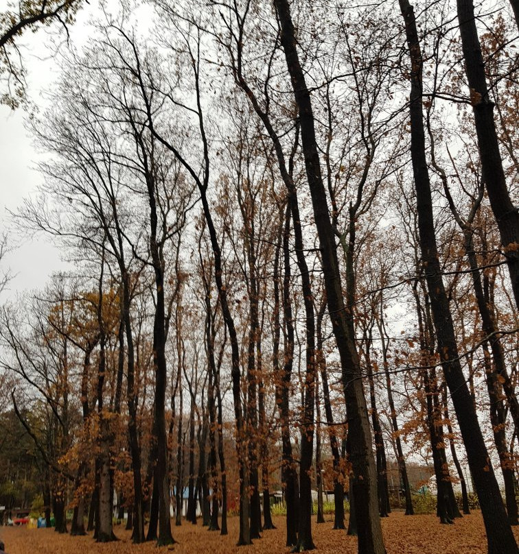 Zapaden Park-索非亚必去景点