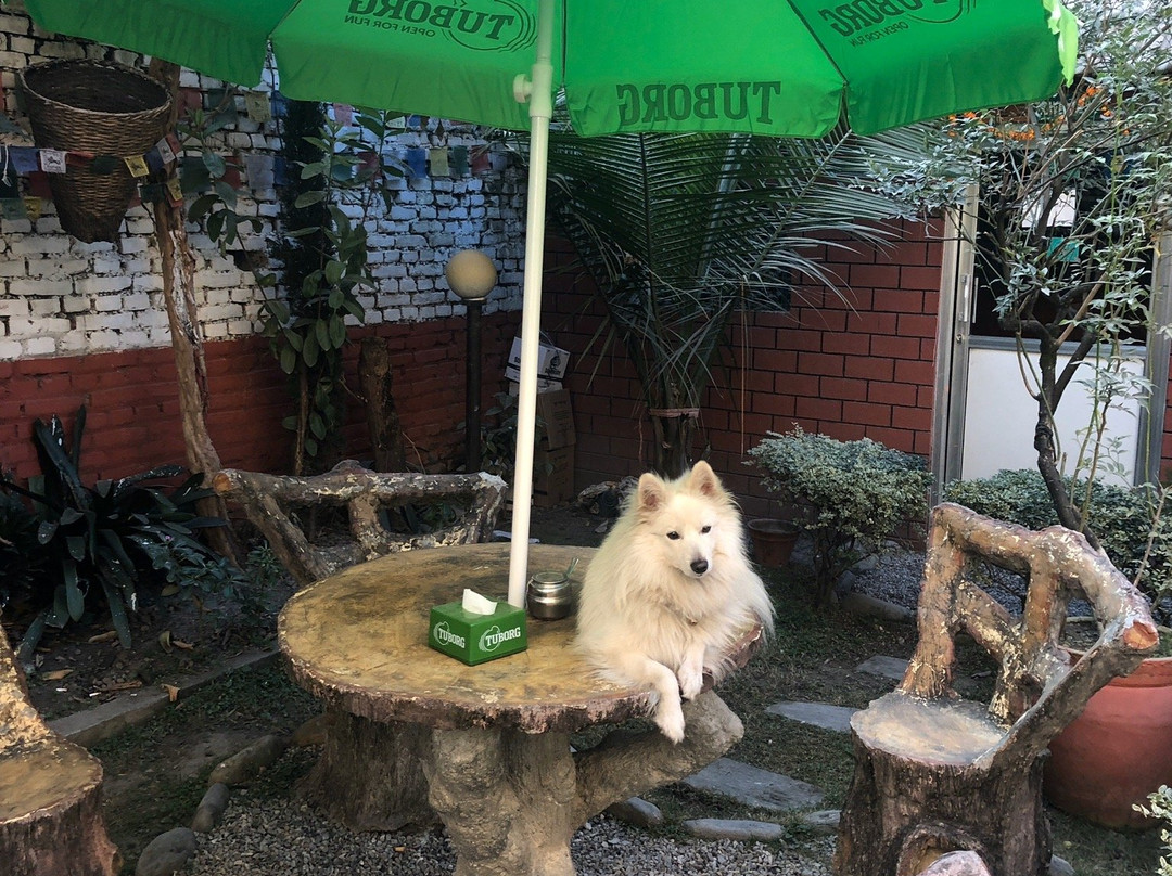 安第斯之家旅舍主图