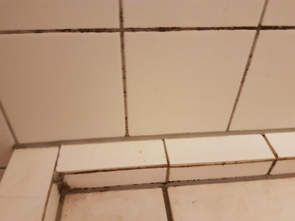 Steinberger Hof主图