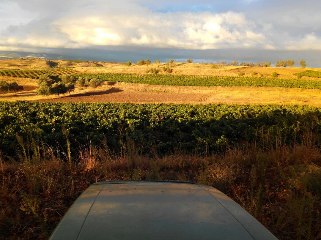 Alcanadre旅游攻略图片