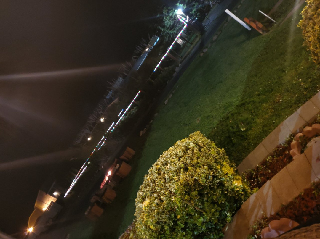 Surf Motel and Gardens主图