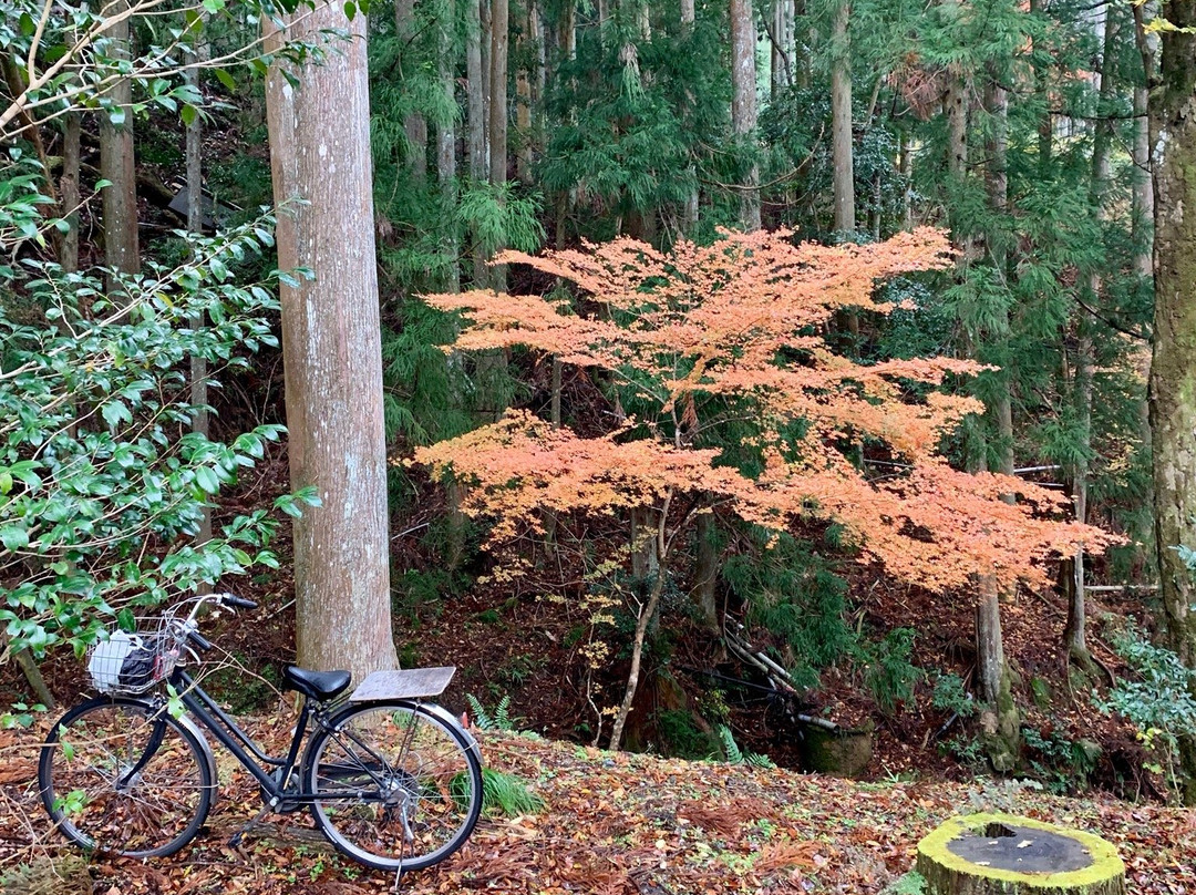 Kyoto Adventures-京都市必去景点