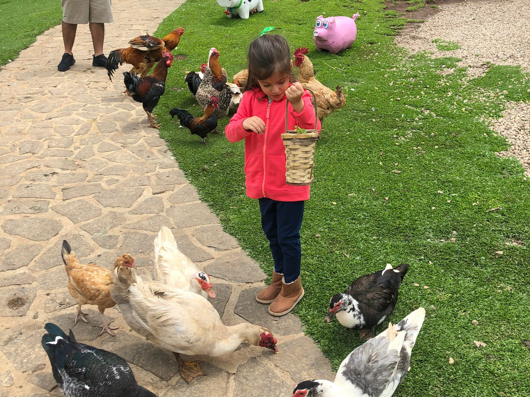 特丽巴酒店主图