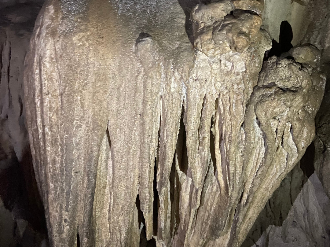 Limestone Cave Baratang-Baratang Island必去景点