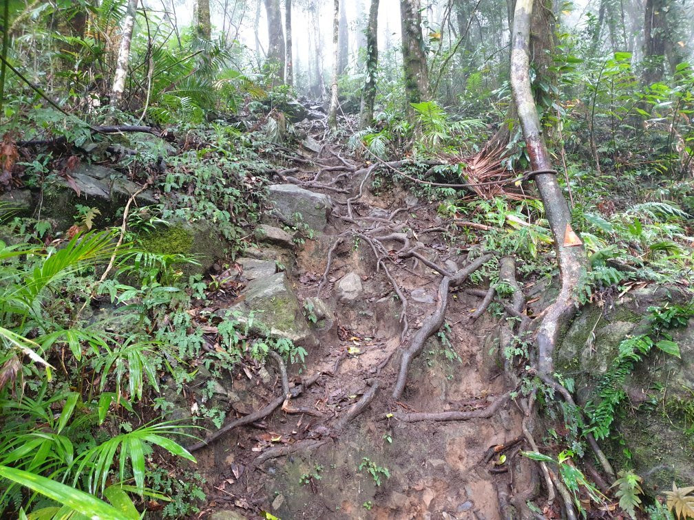 Mount Sorrow Ridge Trail景点图片