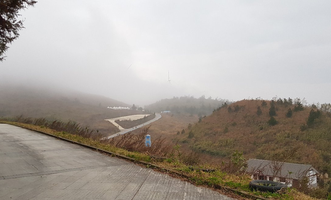 铭雨龙缸假日大酒店主图