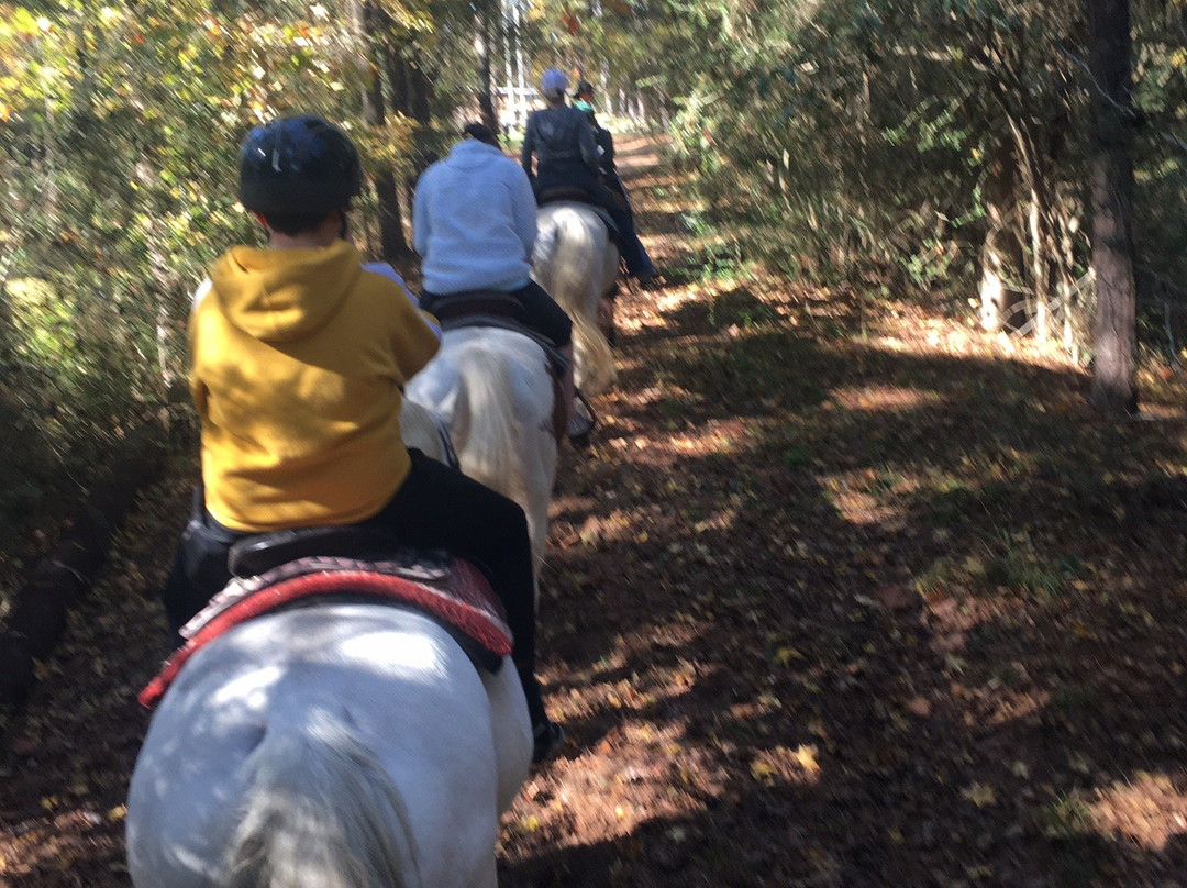 The Retreat at Artesian Lakes主图