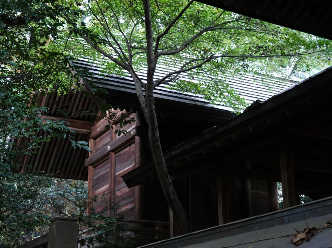 Akiru Shrine-秋留野市必去景点