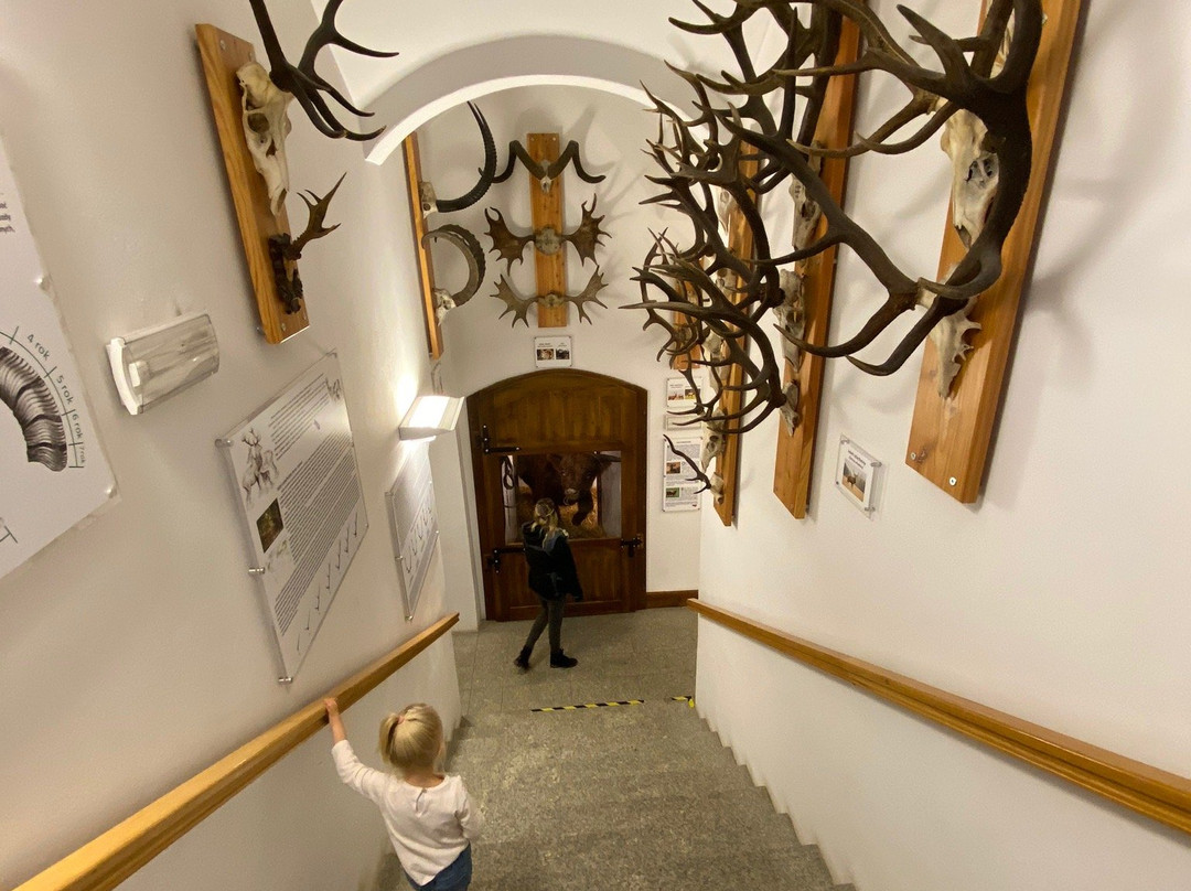 Natural History Museum-Jelenia Gora必去景点