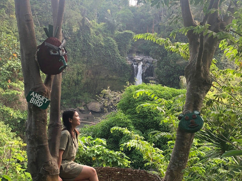 Ubud Bali Day Tour-乌布必去景点