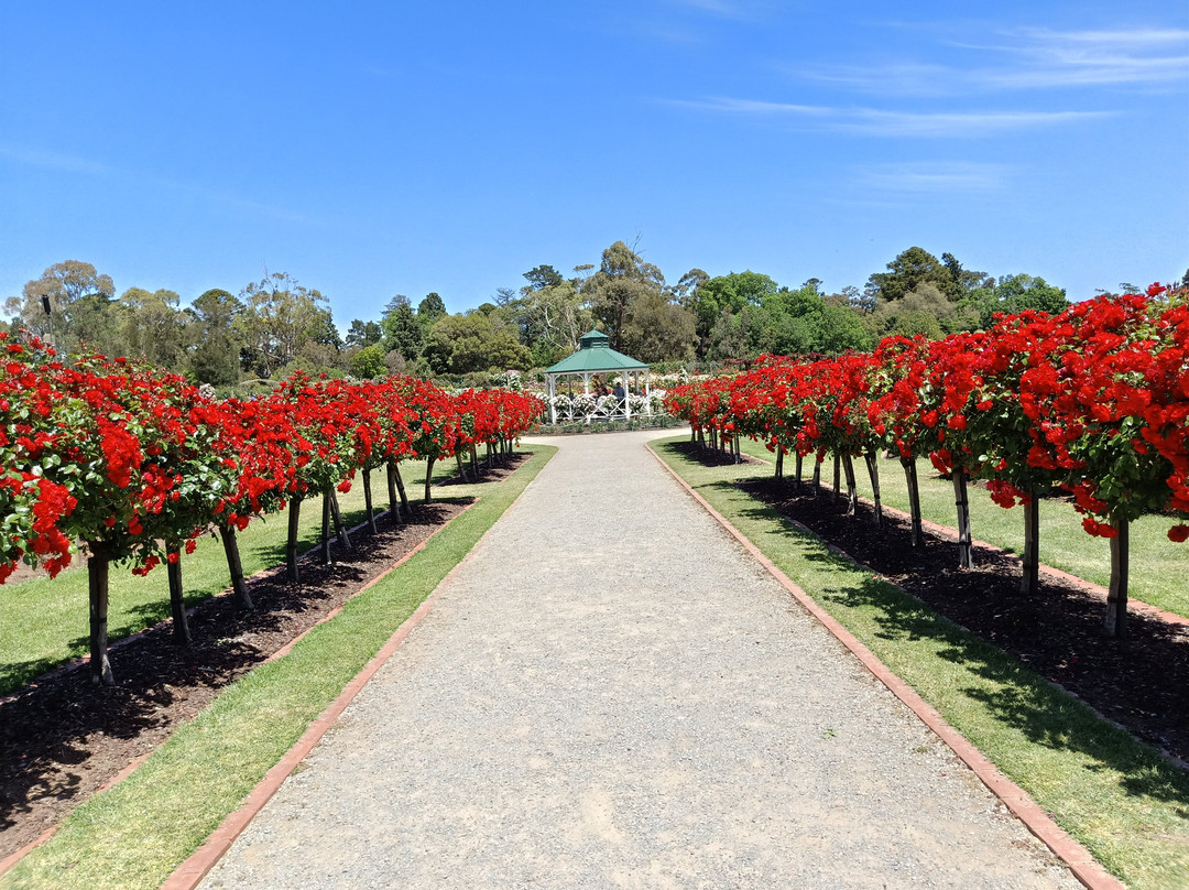 Victoria State Rose Garden-韦里比必去景点