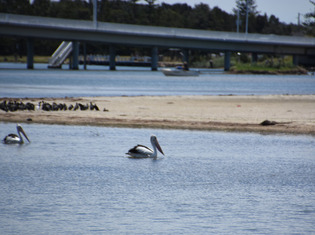 The Entrance Pelican Feed景点图片