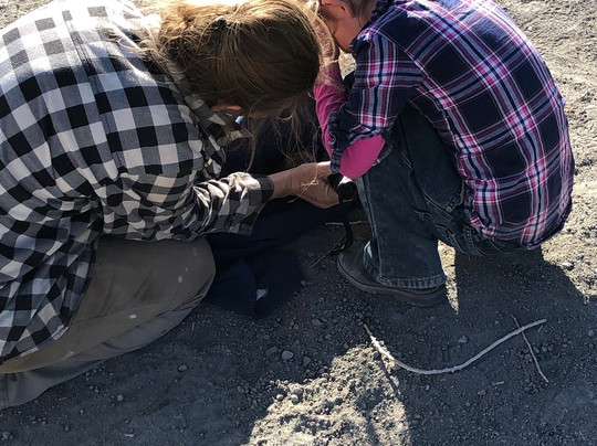 Septarianville-Clawson必去景点