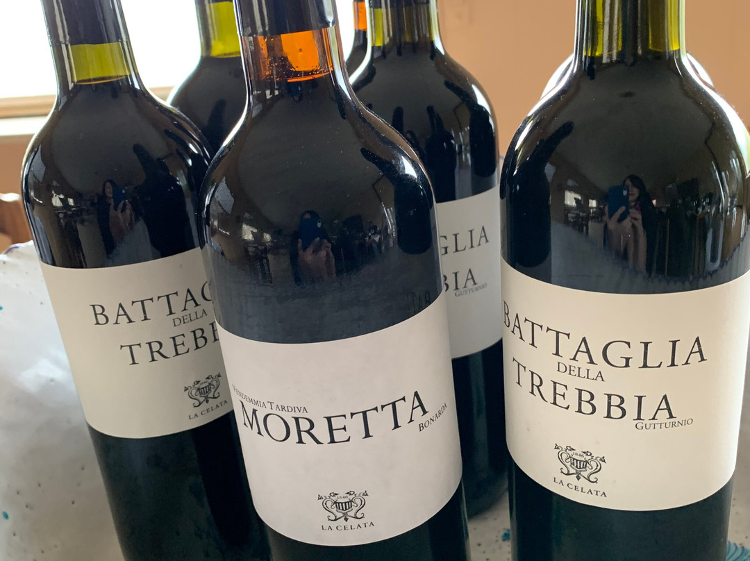 Azienda Agricola Molinelli-Ziano Piacentino必去景点