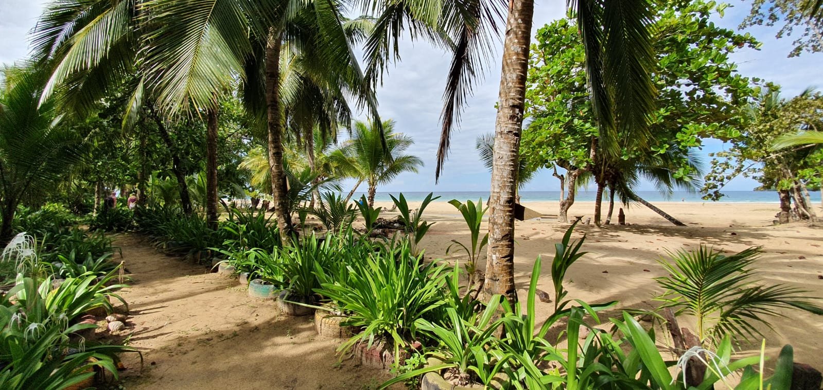 Al Natural Resort-泳池